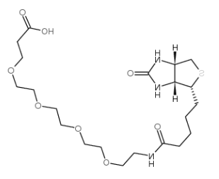 生物素-PEG24-酸 生物素-PEG24-酸