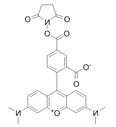 5-羧基四甲基罗丹明琥珀酰亚胺酯 