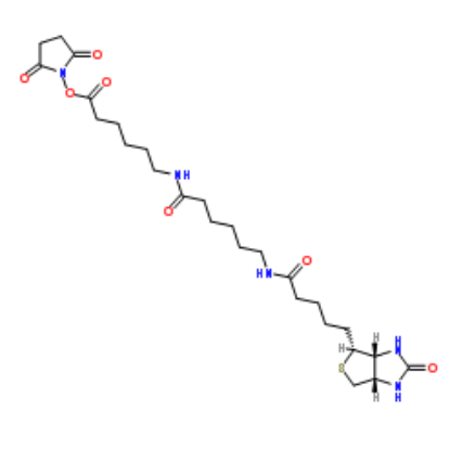 Biotin-LC-LC-NHS Biotin-LC-LC-NHS