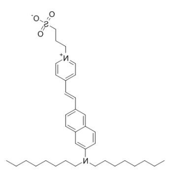 Di-8-ANEPPS  