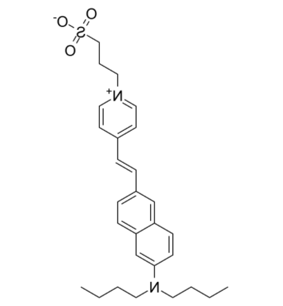 Di-4-ANEPPS  