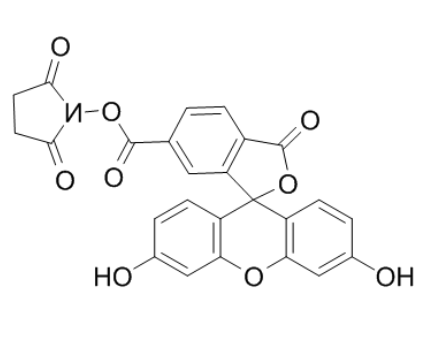 6-羧基荧光素琥珀酰亚胺酯 