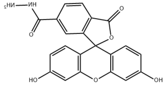 6-FAM Hydrazide 