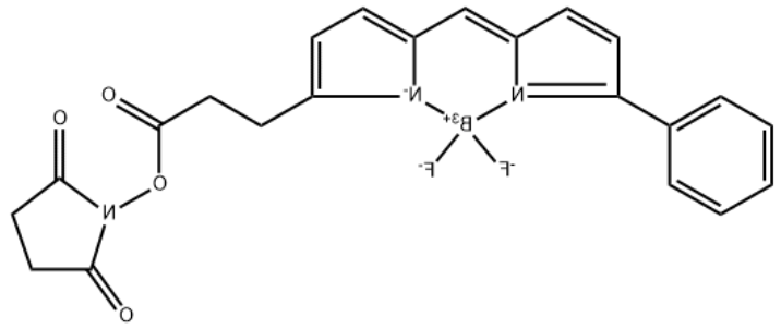 BODIPY R6G Succinimidyl Ester 