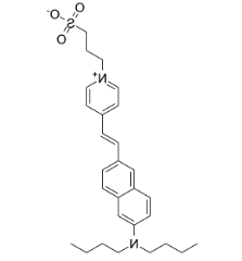Di-4-ANEPPS