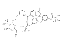 荧光染料-FAM 荧光染料-FAM