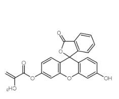 Fitc-methacrylate Fitc-methacrylate