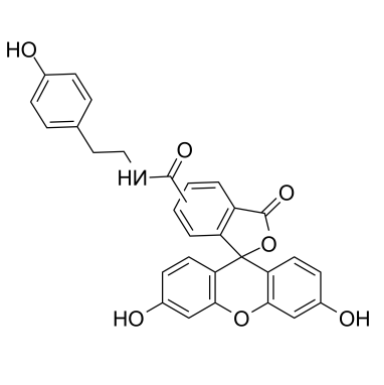 Fluorescein Tyramide Fluorescein Tyramide
