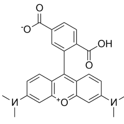 1759130885544913.png image.png