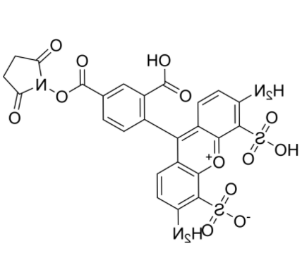 AF488 NHS ester 