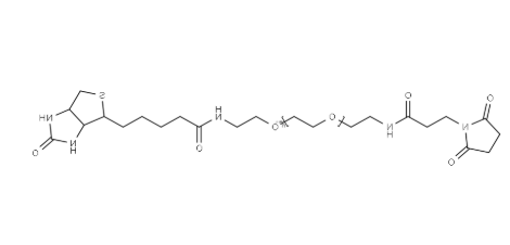 Biotin PEG11 amido Maleimide