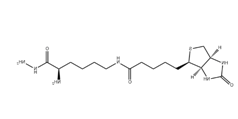 Dextran Gel(葡聚糖凝胶) Dextran Gel(葡聚糖凝胶)