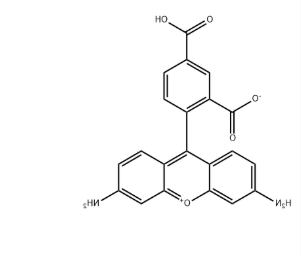 5(6)-Carboxyrhodamine 110