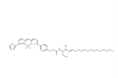 BODIPY TR Ceramide