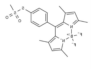 BODIPY-TS,硼二吡咯-TS BODIPY-TS,硼二吡咯-TS