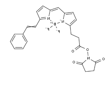 BODIPY 564/570 NHS ester