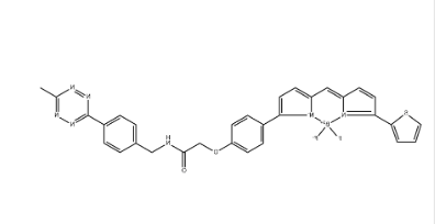 BDP TR methyltetrazine