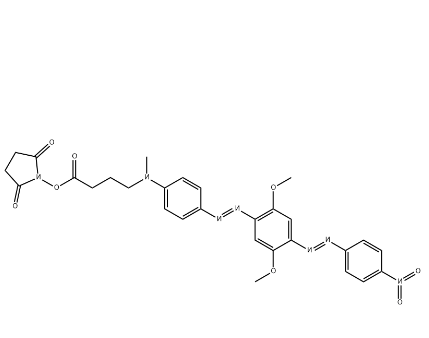 BHQ-2 琥珀酰亚胺酯 