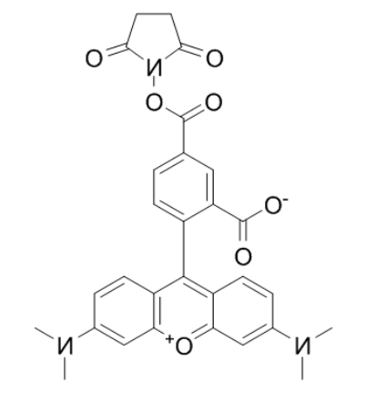 5-TAMRA-SE 