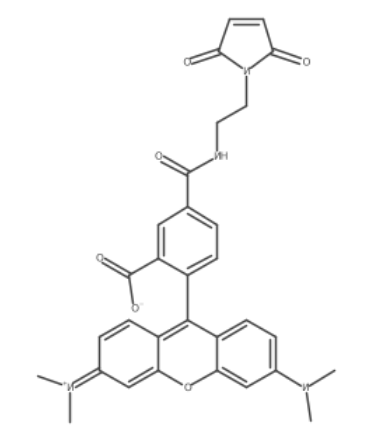 Tetramethylrhodamine-5 C2 maleimide Tetramethylrhodamine-5 C2 maleimide