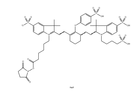 IRDye 800CW NHS Ester