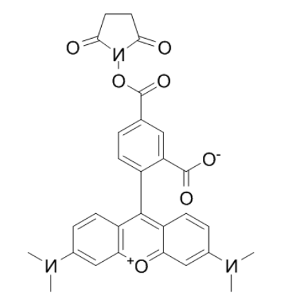 TAMRA Succinimidyl Ester