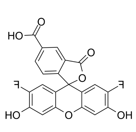 OG488 COOH OG488 COOH