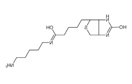 生物素-C5-胺 生物素-C5-胺