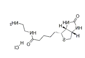 Biotin-EA (HCl)