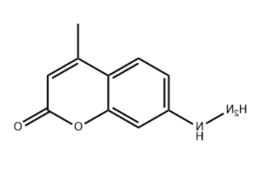 Coumarin hydrazine