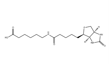 Biotin-LC Biotin-LC
