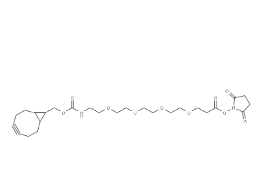 endo BCN-PEG4-NHS