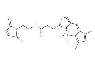 BDP&nbsp;FL&nbsp;maleimide