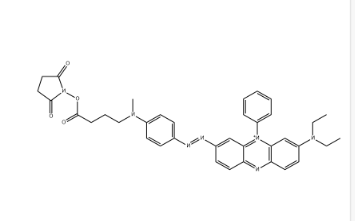 BHQ3 NHS ester