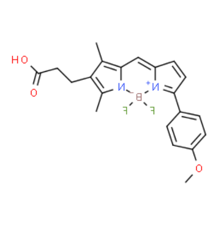 BODIPY TMR acid