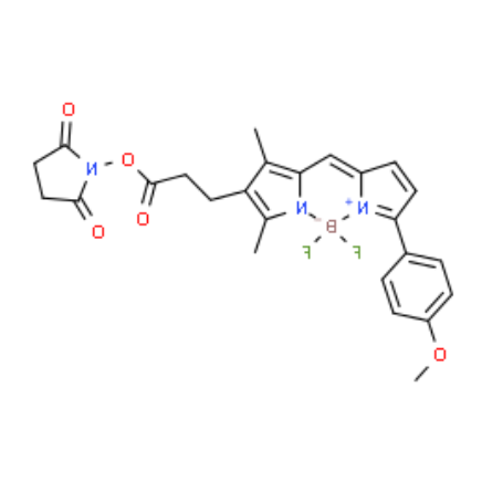 BODIPY TMR NHS ester