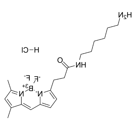 BODIPY FL amine