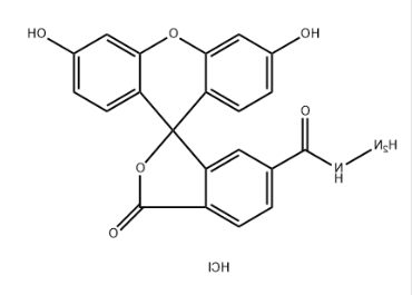 2183440-65-3,FAM hydrazide, 6-isomer,(FAM) 2183440-65-3,FAM hydrazide, 6-isomer,(FAM)