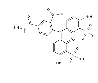 AF488 hydrazide