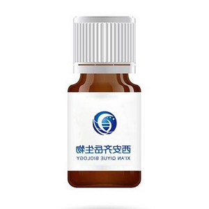 DSPG 