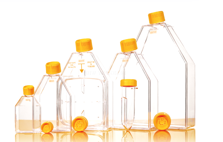 PLGA-Aldehyde PLGA-Aldehyde