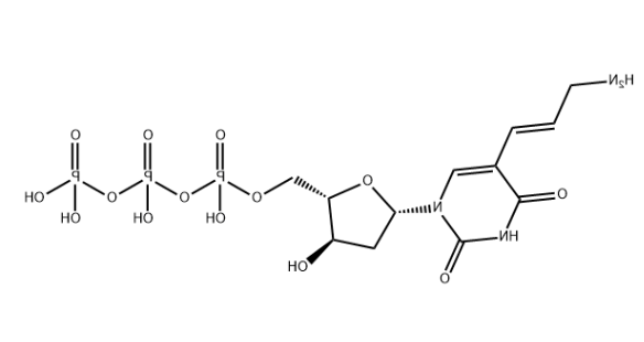 Aminoallyl-dUTP，116840-18-7