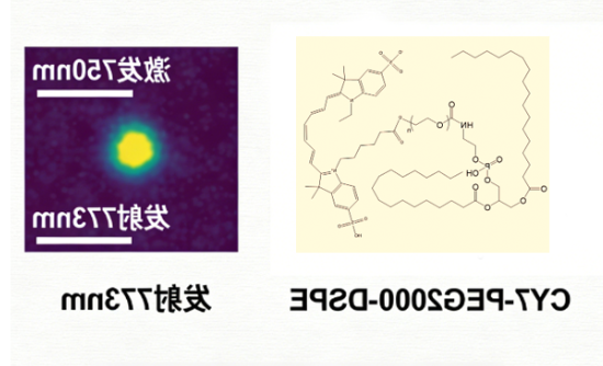 CY7-PEG2000-DSPE