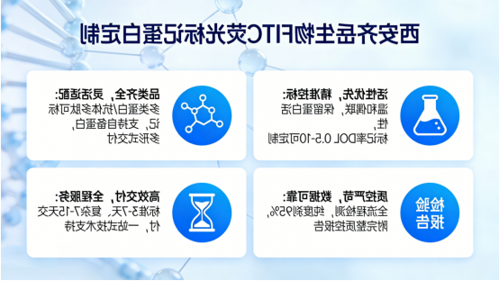 核心优势 核心优势