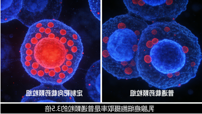 靶向介孔Fe₃O₄载药纳米颗粒定制