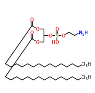 1,3-二棕榈酰-glycero-2-磷酸乙醇胺 1,3-二棕榈酰-glycero-2-磷酸乙醇胺