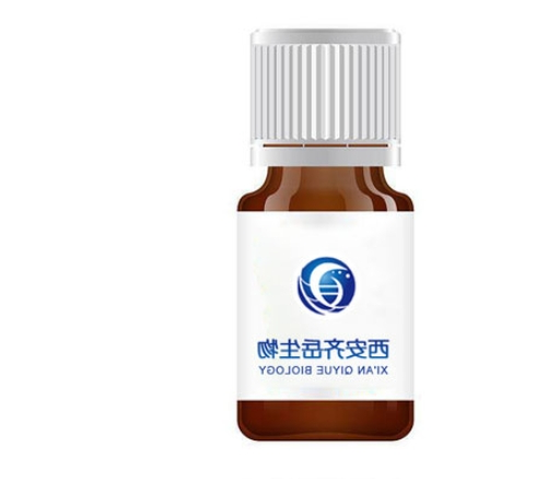 高支化多糖丝素水凝胶 高支化多糖丝素水凝胶