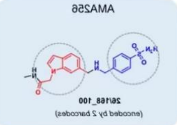 AMA256化合物定制 AMA256化合物定制