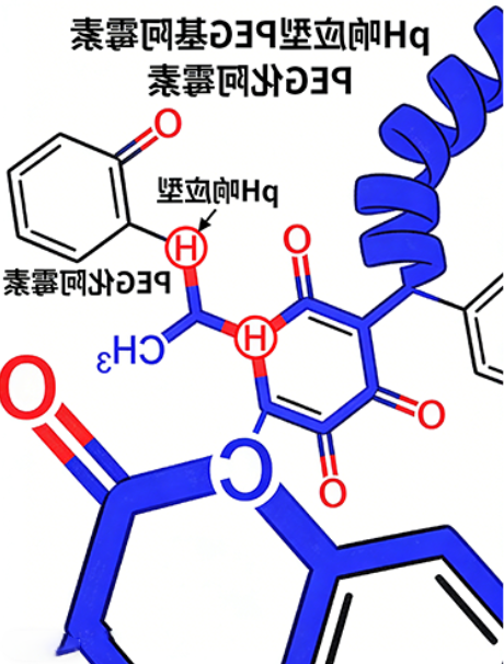 pH响应型PEG化阿霉素定制