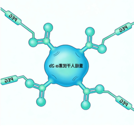 4臂PEG修饰重组人干扰素α-2b定制